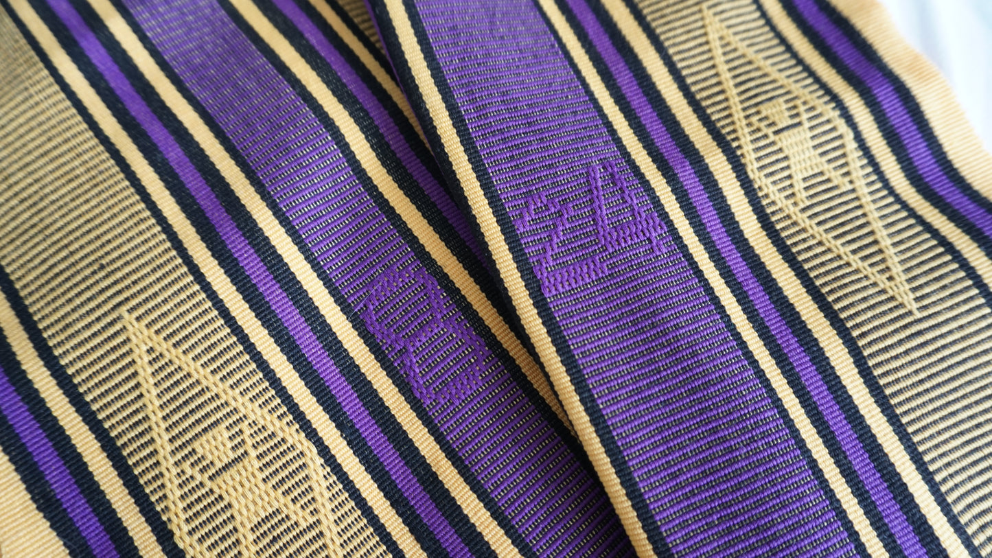 LGNDSNVRDIE Authentic Shorts MEN | MVP Purple